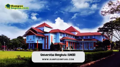 17 Jurusan Sepi Peminat UNIB, Peluang Lolos SNBP 2023