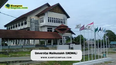 Rata Rata Nilai UTBK SNBT UNIMAL + Peluang Lolos 2025