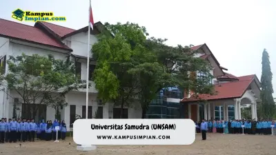 Rata Rata Nilai UTBK SNBT UNSAM + Peluang Lolos 2023