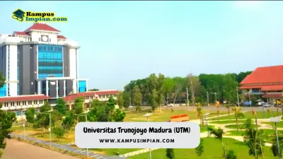 Rata Rata Nilai UTBK SNBT UTM 2023/2024