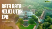 Rata Rata Nilai UTBK IPB  Untuk Lolos SNBT 2025
