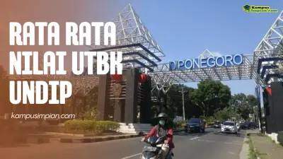 Rata Rata Nilai UTBK UNDIP Untuk Lolos SNBT 2025