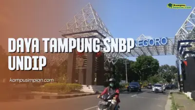 Daya Tampung SNBP UNDIP dan Peminatnya 2024 - 2025