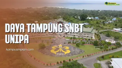 Daya Tampung SNBT UNIPA dan Peminatnya 2025 - 2026