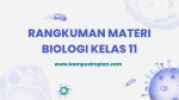 Rangkuman Materi Biologi Kelas 11 Semester 1 dan 2 Kurikulum Merdeka
