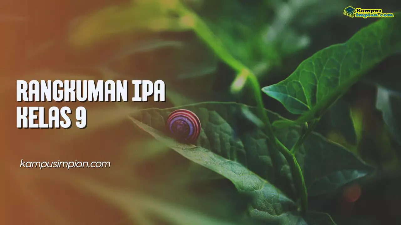 Rangkuman Materi IPA Kelas 9 (Kurikulum Merdeka & 2013)