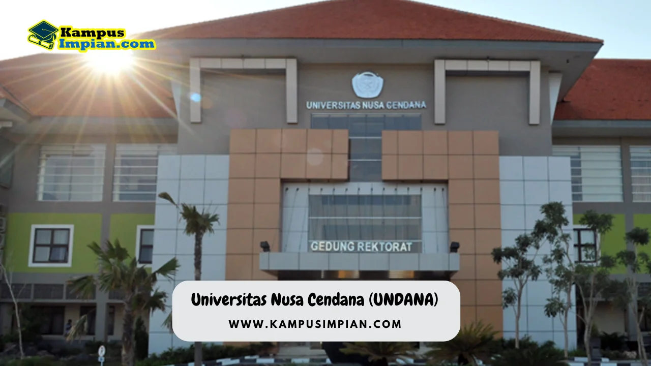 Rata Rata Nilai UTBK SNBT UNDANA + Peluang Lolos 2023