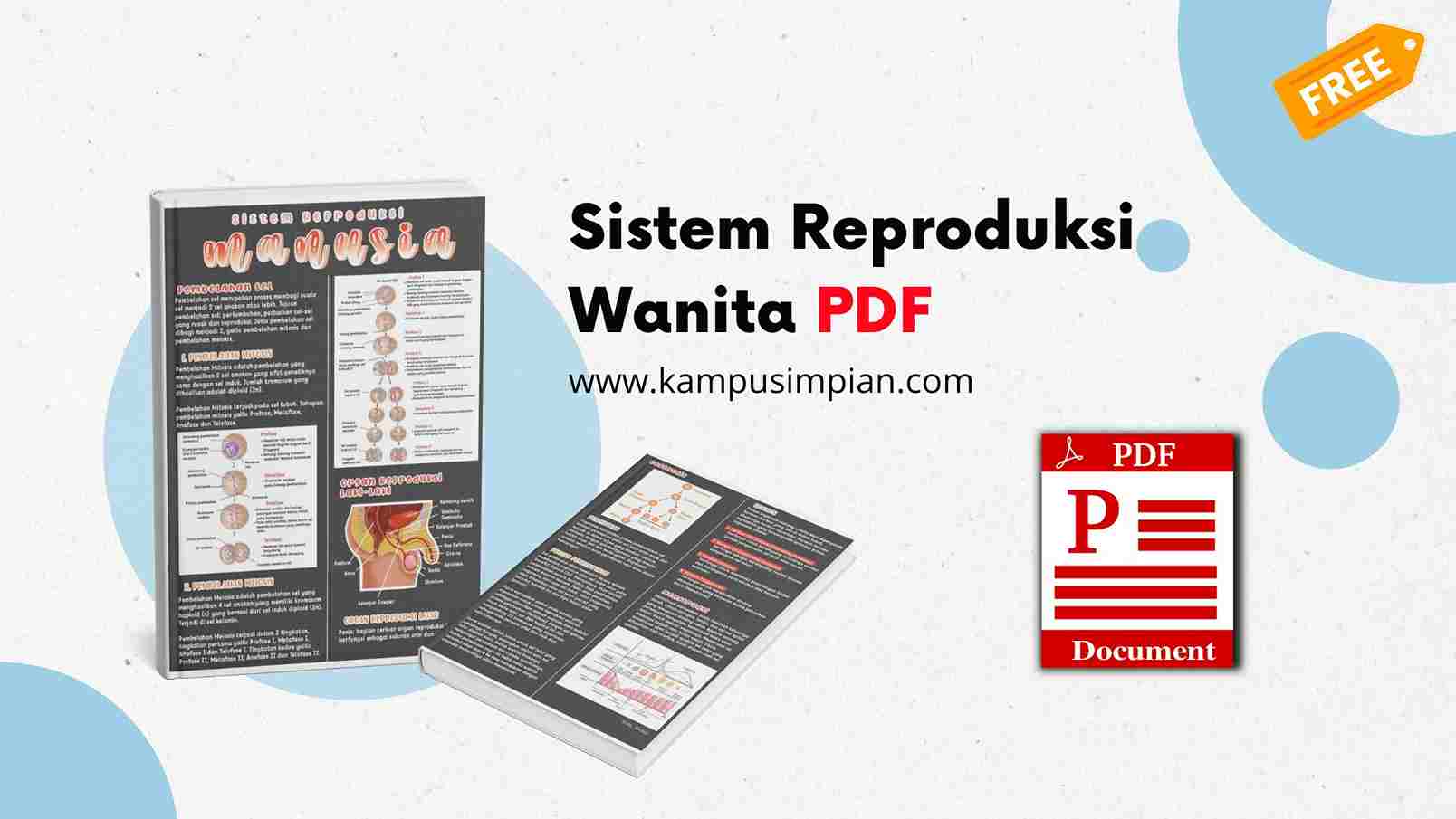 Catatan Aesthetic Sistem Reproduksi Wanita PDF