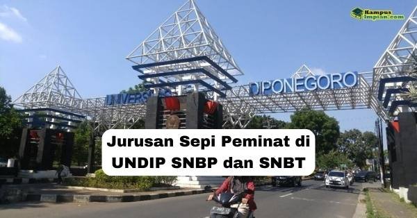 Jurusan Sepi Peminat di UNDIP SNBP dan SNBT