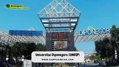 UNDIP