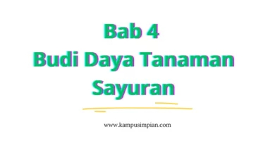 Bab 4 Budi Daya Tanaman Sayuran