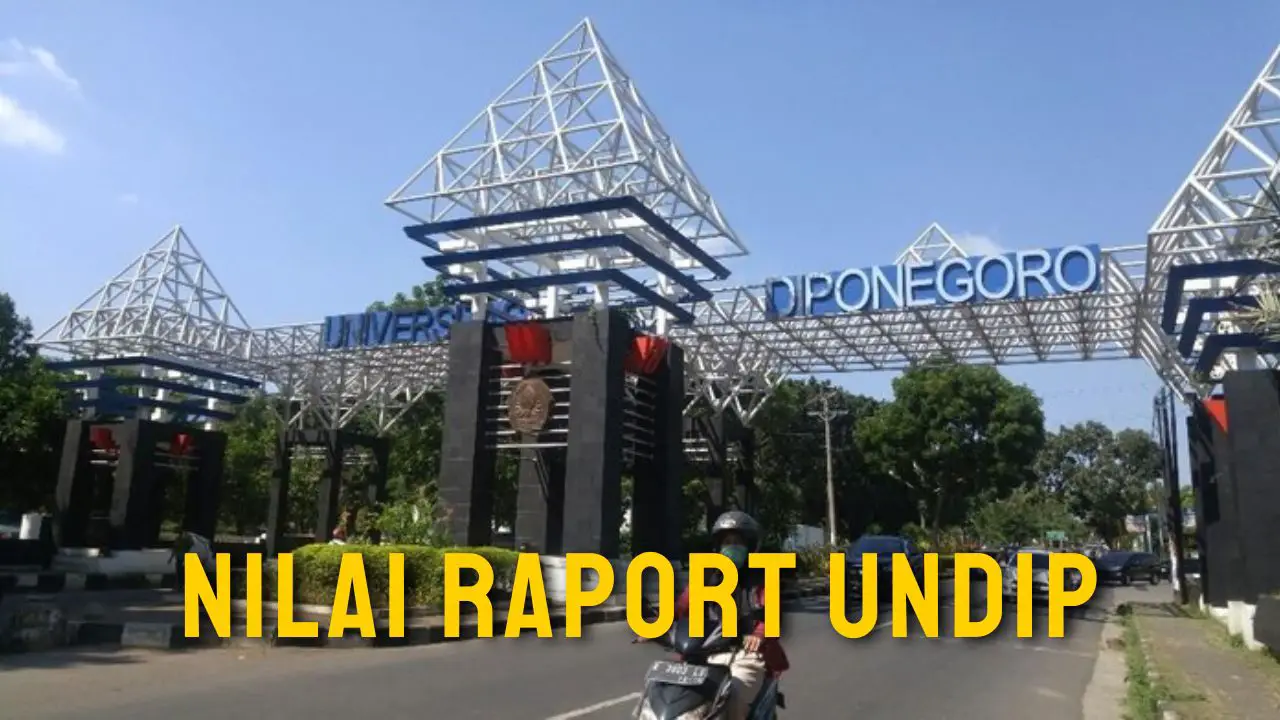 Rata Rata Nilai Raport SNBP Masuk UNDIP