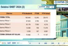 hasil seleksi snbt 2024 666e2fa8d3bac